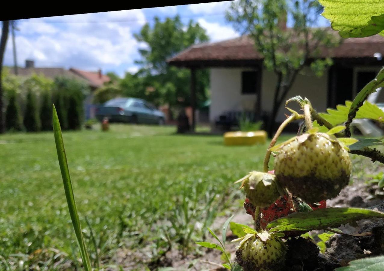 Stara Kovacnica Villa Голубац Екстериор снимка